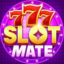 CSM - Slot Mate